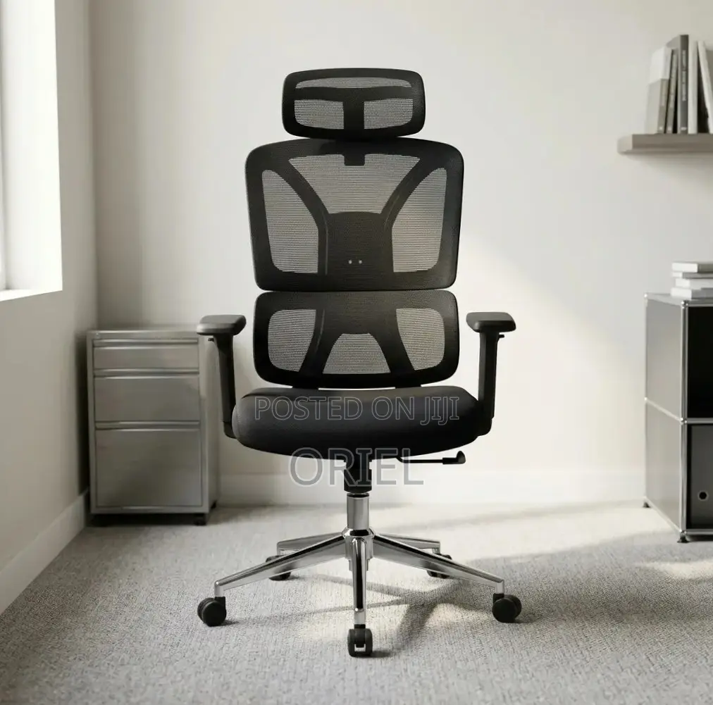 Office Chair : High-Back Adjustable Ergonomic Chair