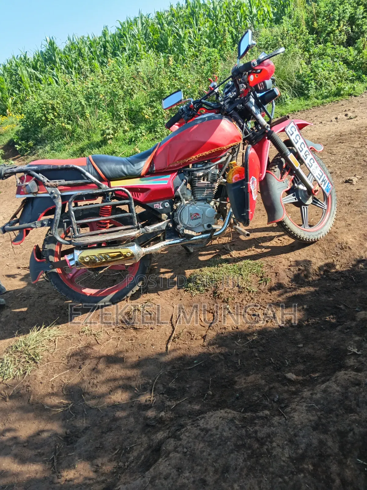 Captain CP150-10 2019 Red
