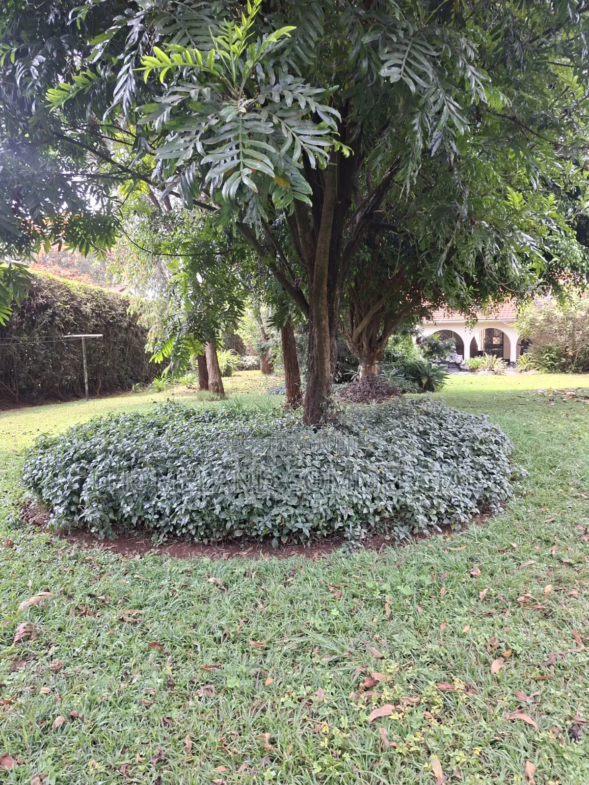 3bdrm House in Loresho for rent