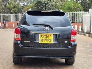 Toyota Corolla Fielder 2010 Black