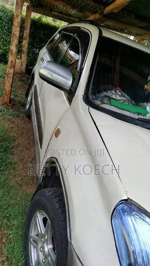 Toyota RAV4 Automatic 2000 White