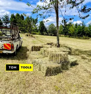 10PCS Organic Boma Rhodes Hay Bales