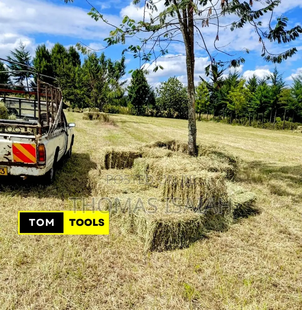 10PCS Organic Boma Rhodes Hay Bales