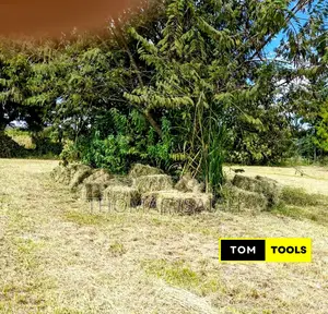 10PCS Organic Boma Rhodes Hay Bales