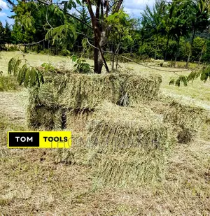 10PCS Organic Boma Rhodes Hay Bales