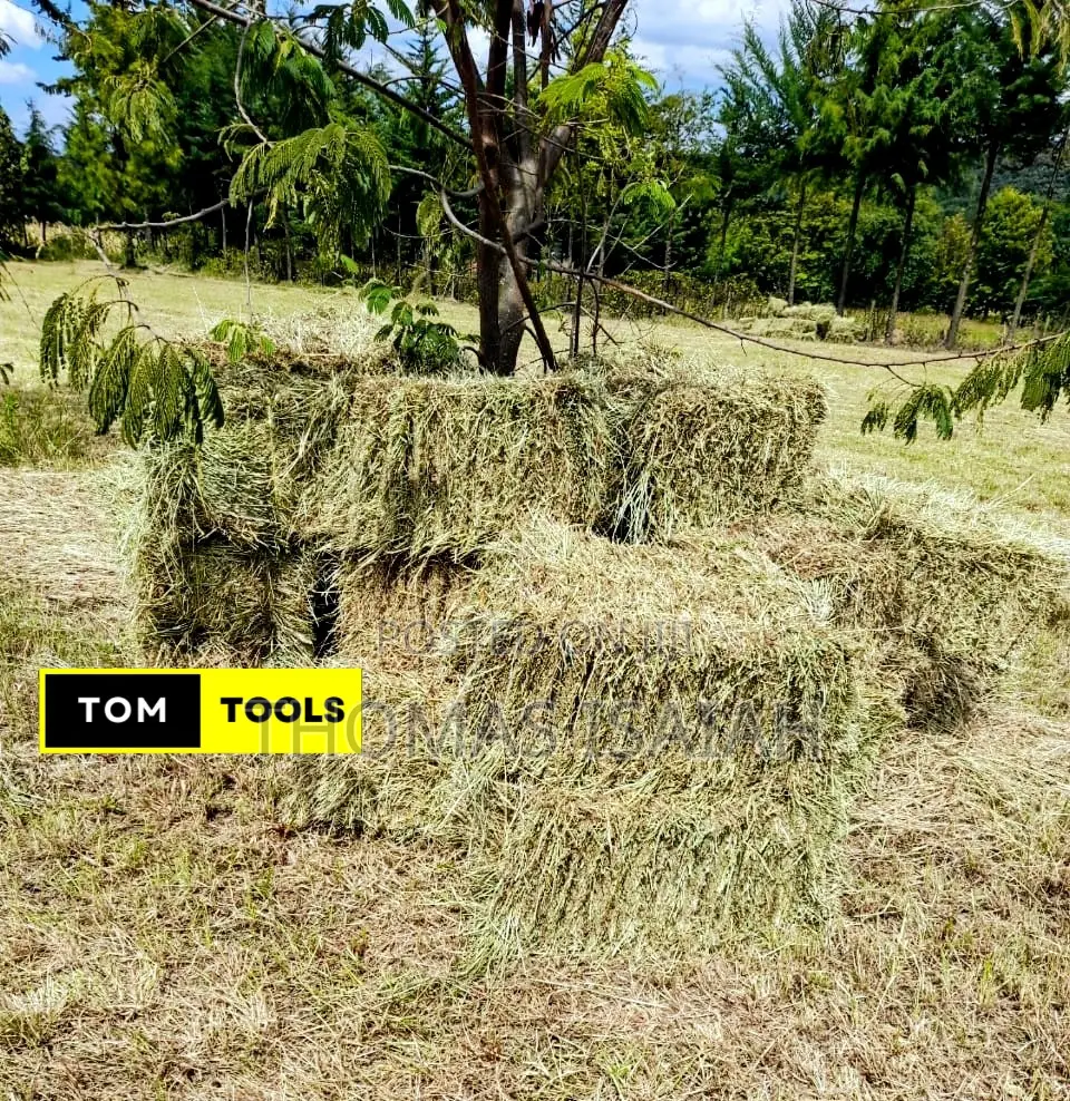 10PCS Organic Boma Rhodes Hay Bales
