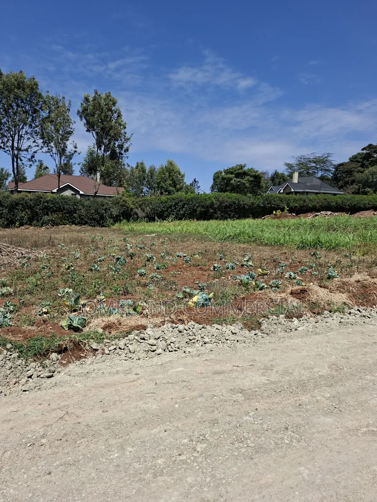 1 Acres for Sale Windyridge.