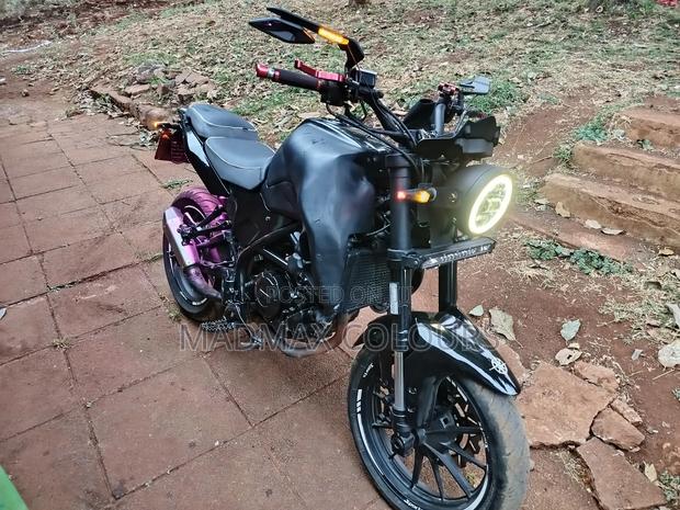 Benelli 2021 Black