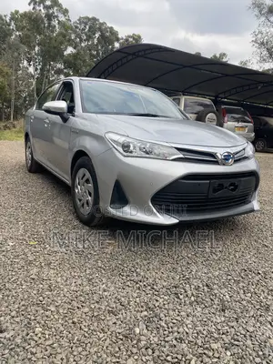 Toyota Axio 1.5 G 2WD 2019 Silver