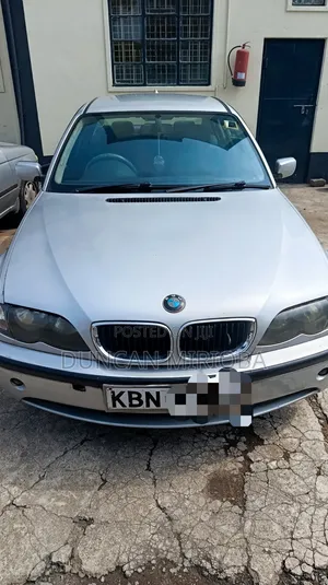 BMW 318i 2004 Gray