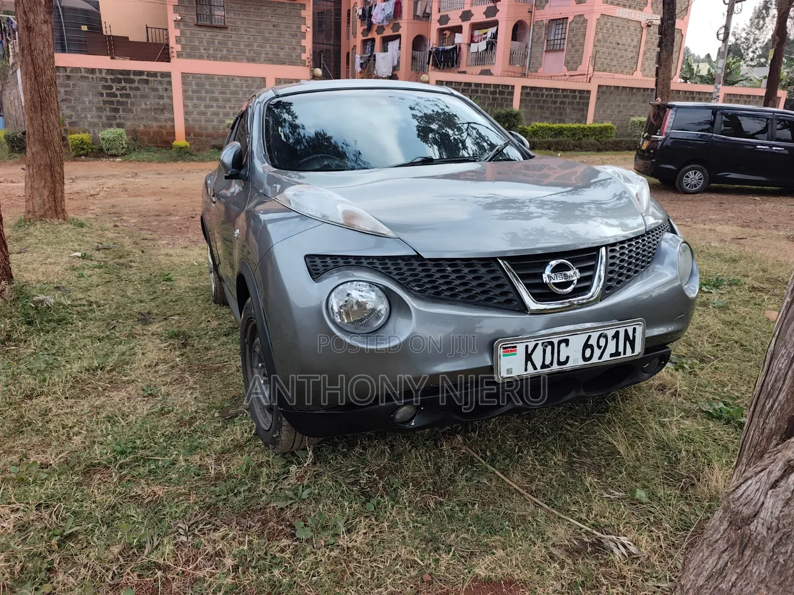Nissan Juke 2013 Gray
