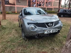Nissan Juke 2013 Gray