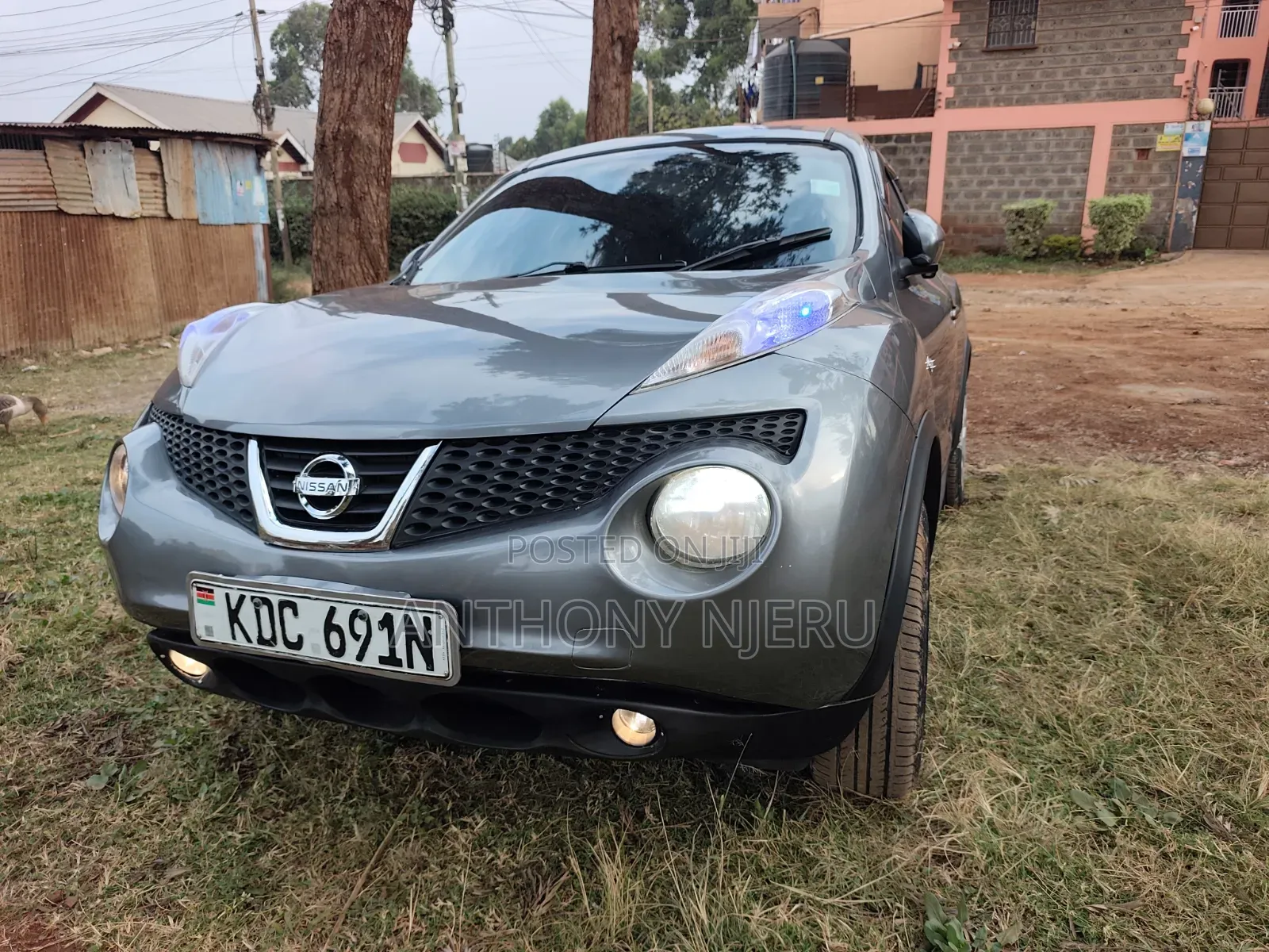Nissan Juke 2013 Gray