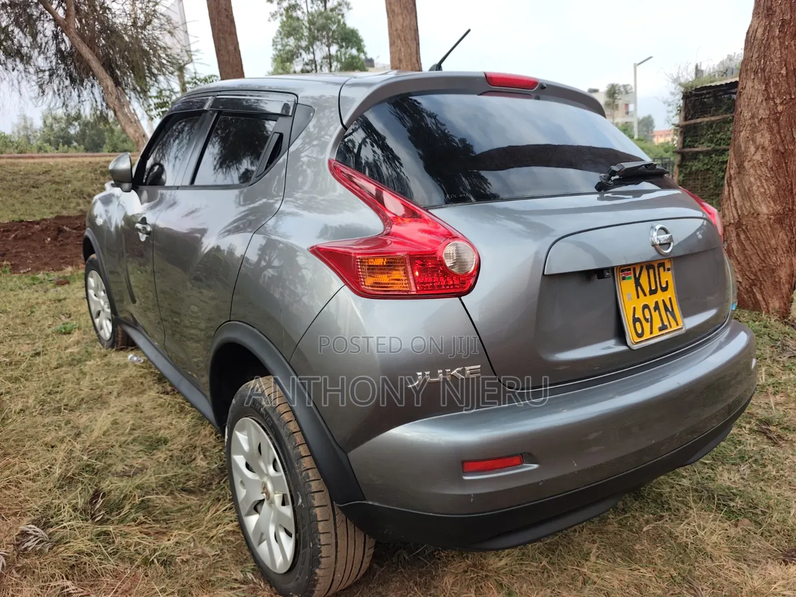 Nissan Juke 2013 Gray
