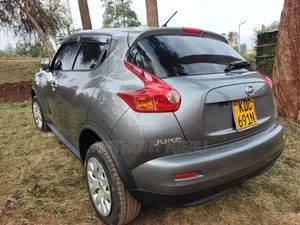 Nissan Juke 2013 Gray