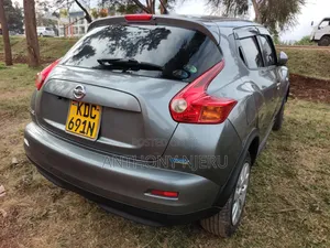 Nissan Juke 2013 Gray