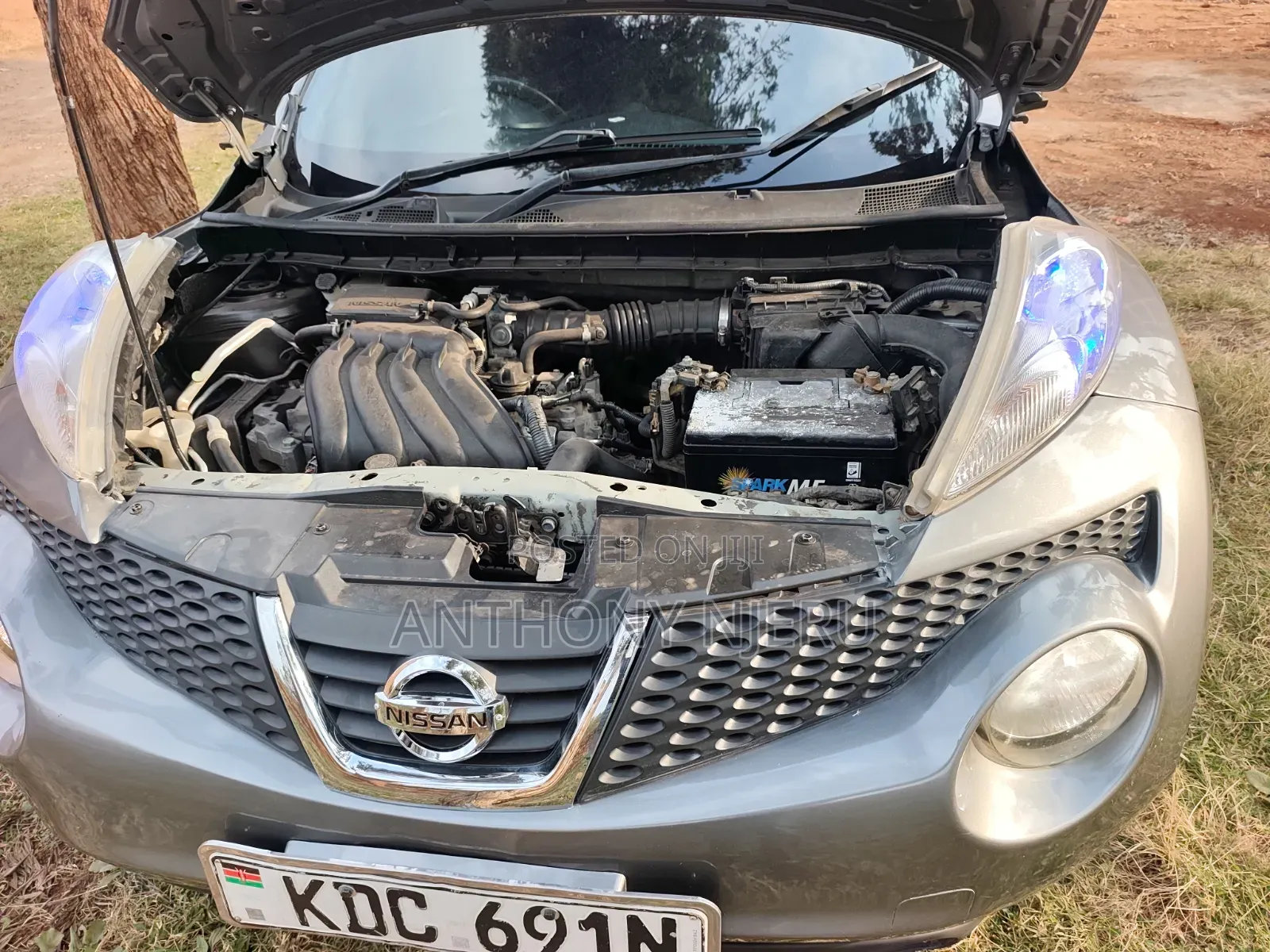 Nissan Juke 2013 Gray