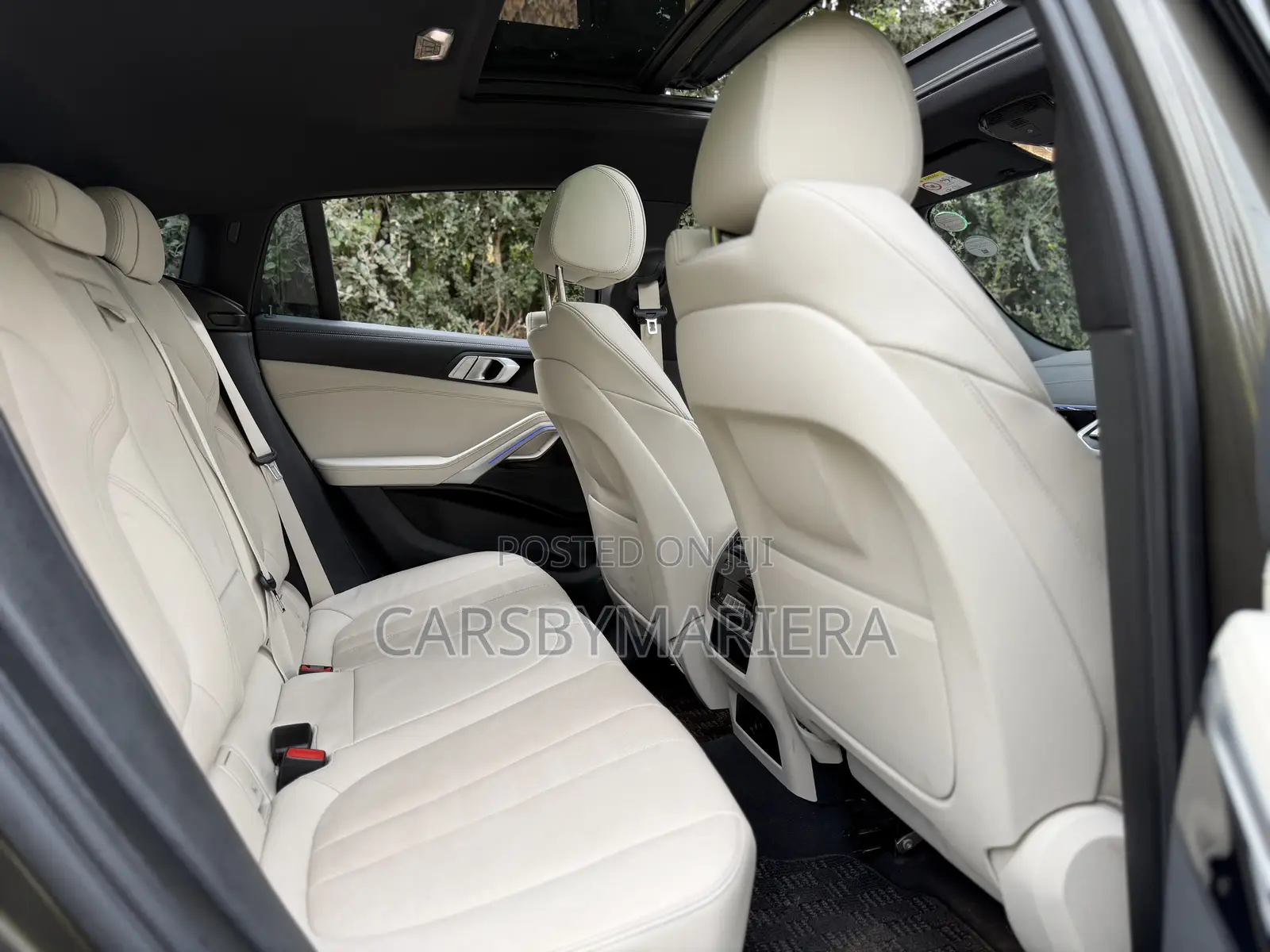 BMW X6 xDrive40i AWD 2020 Green