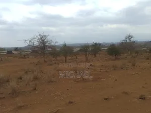 Prime 1-Acre Land for Sale in Kimana