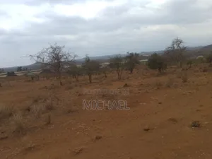 Prime 1-Acre Land for Sale in Kimana