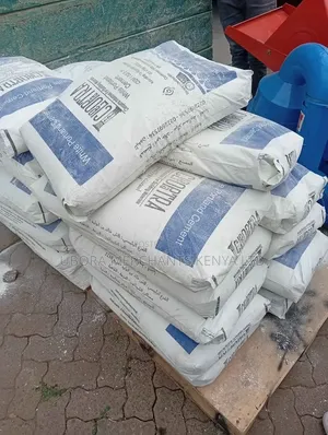 White Building Cement 52.5N