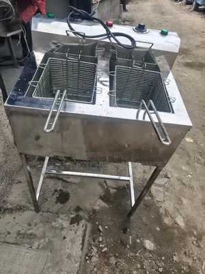 Stainless Steel Electric Deep Fryer