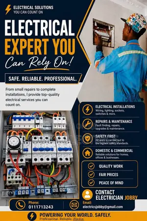 Professional Electrician