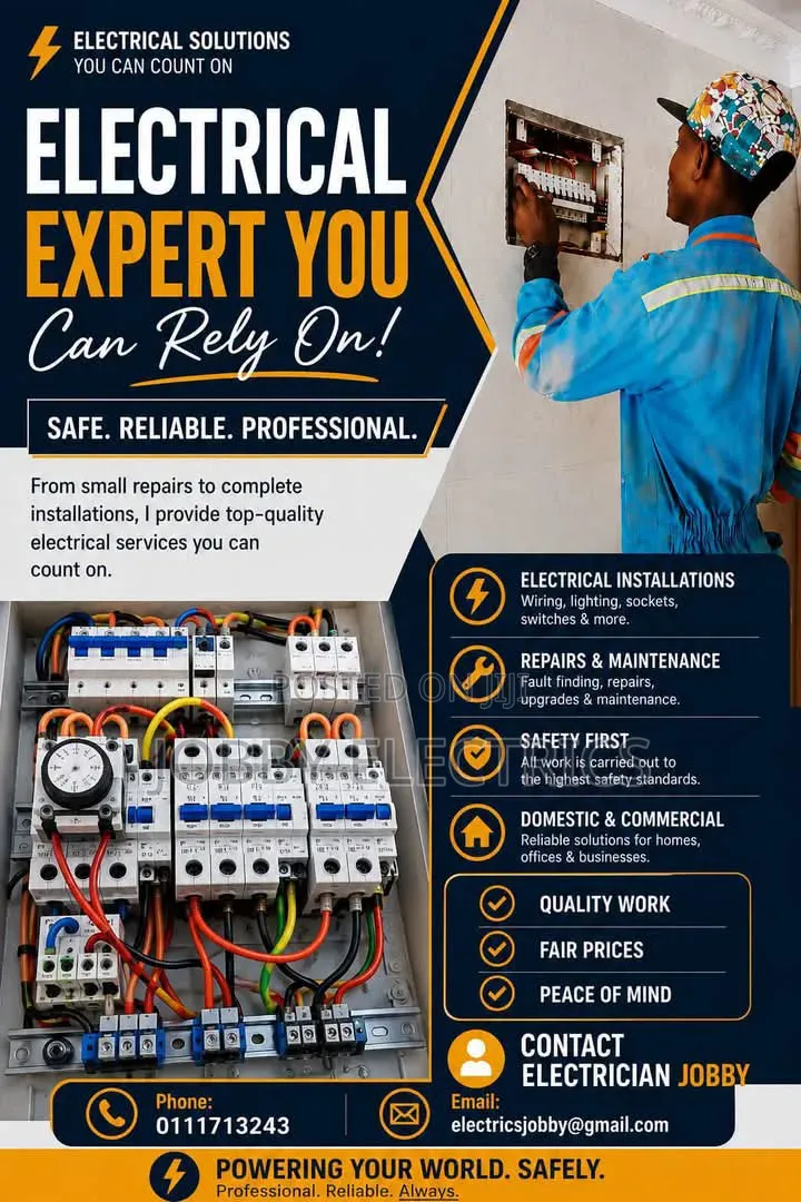 Professional Electrician