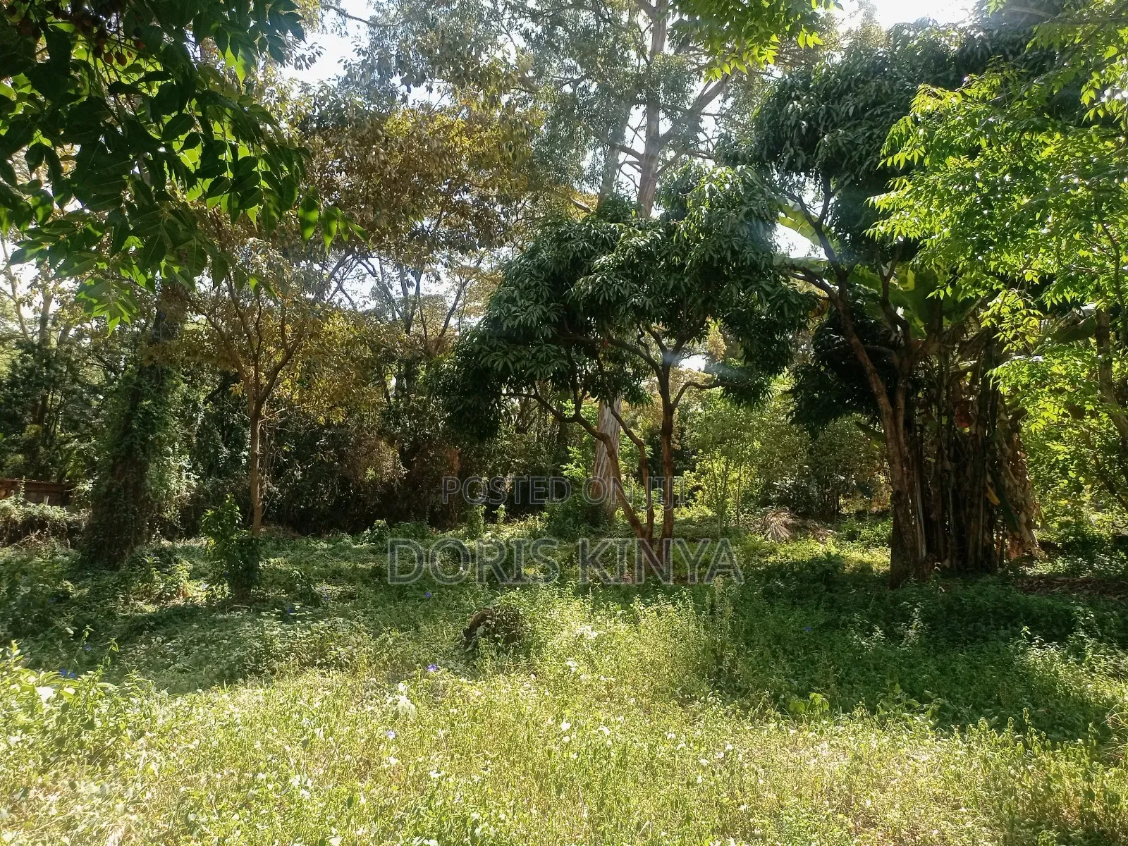 Furnished 4bdrm House in Tatu City, Kiambu CBD for sale
