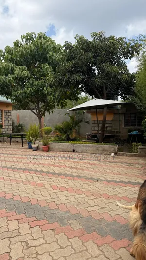 3bdrm Bungalow in Nkoroi for rent