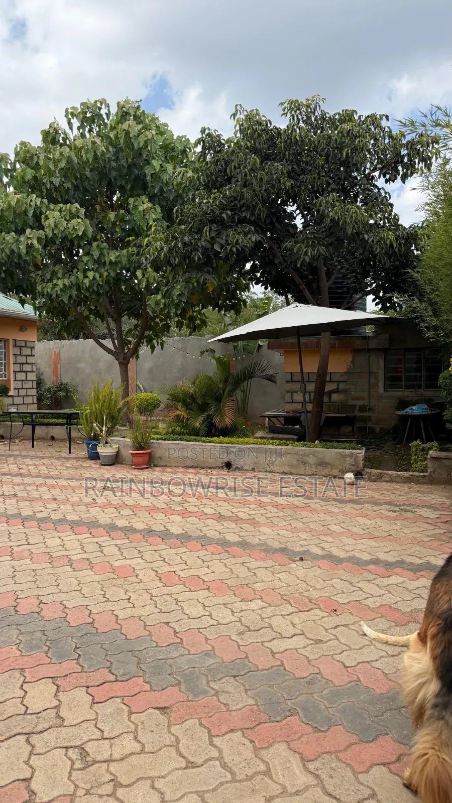 3bdrm Bungalow in Nkoroi for rent