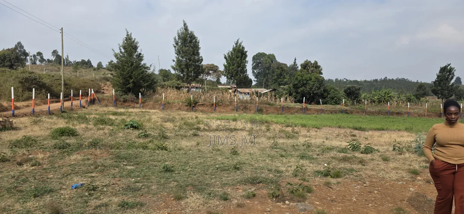 Quick Sale - KIKUYU NDIGUINI