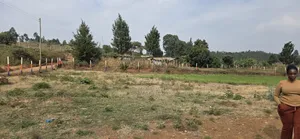 Quick Sale - KIKUYU NDIGUINI
