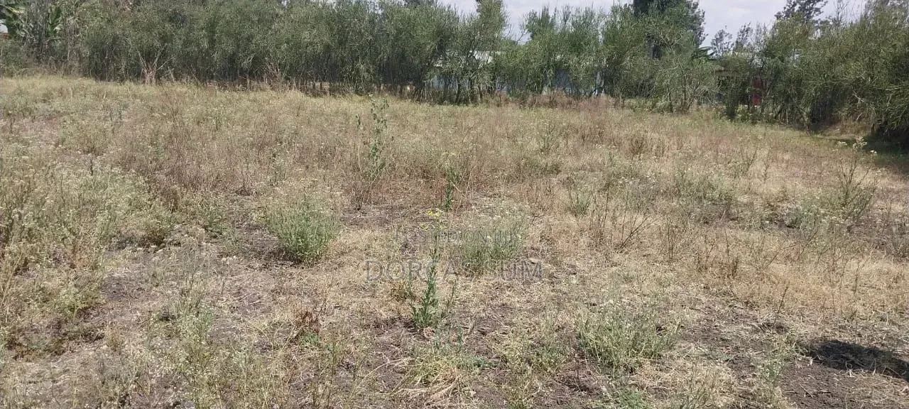 1/4 an Acre Plot for Sale (100*100)