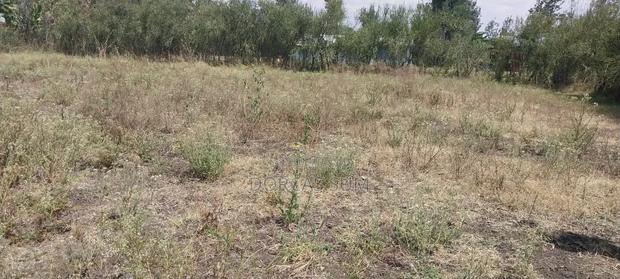 1/4 an Acre Plot for Sale (100*100) - thumbnail 2
