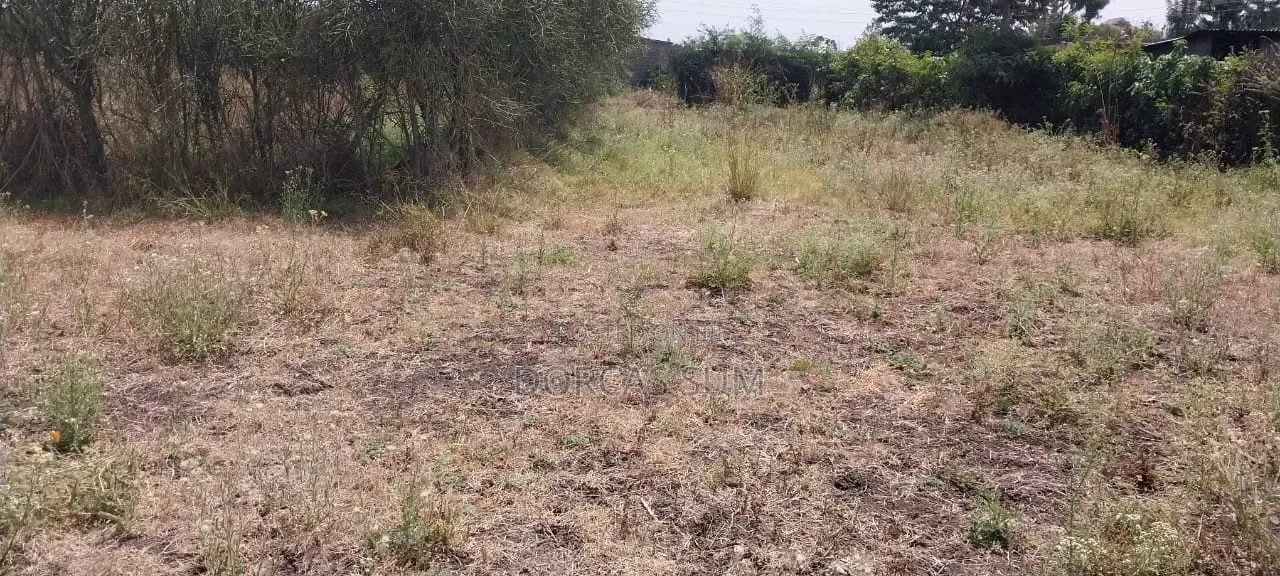 1/4 an Acre Plot for Sale (100*100)