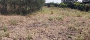 1/4 an Acre Plot for Sale (100*100)