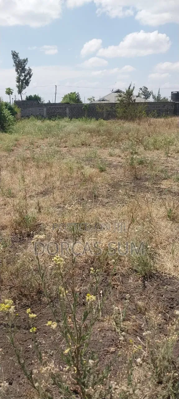 1/4 an Acre Plot for Sale (100*100)