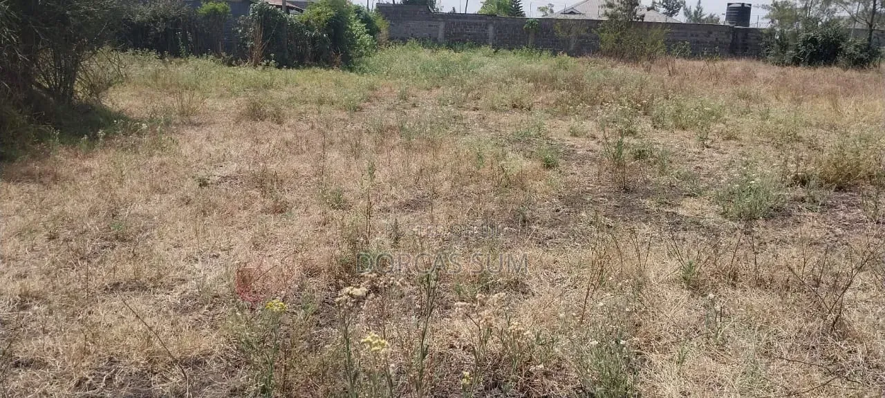 1/4 an Acre Plot for Sale (100*100)