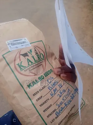 KAT B1 Yellow Beans Kaleo