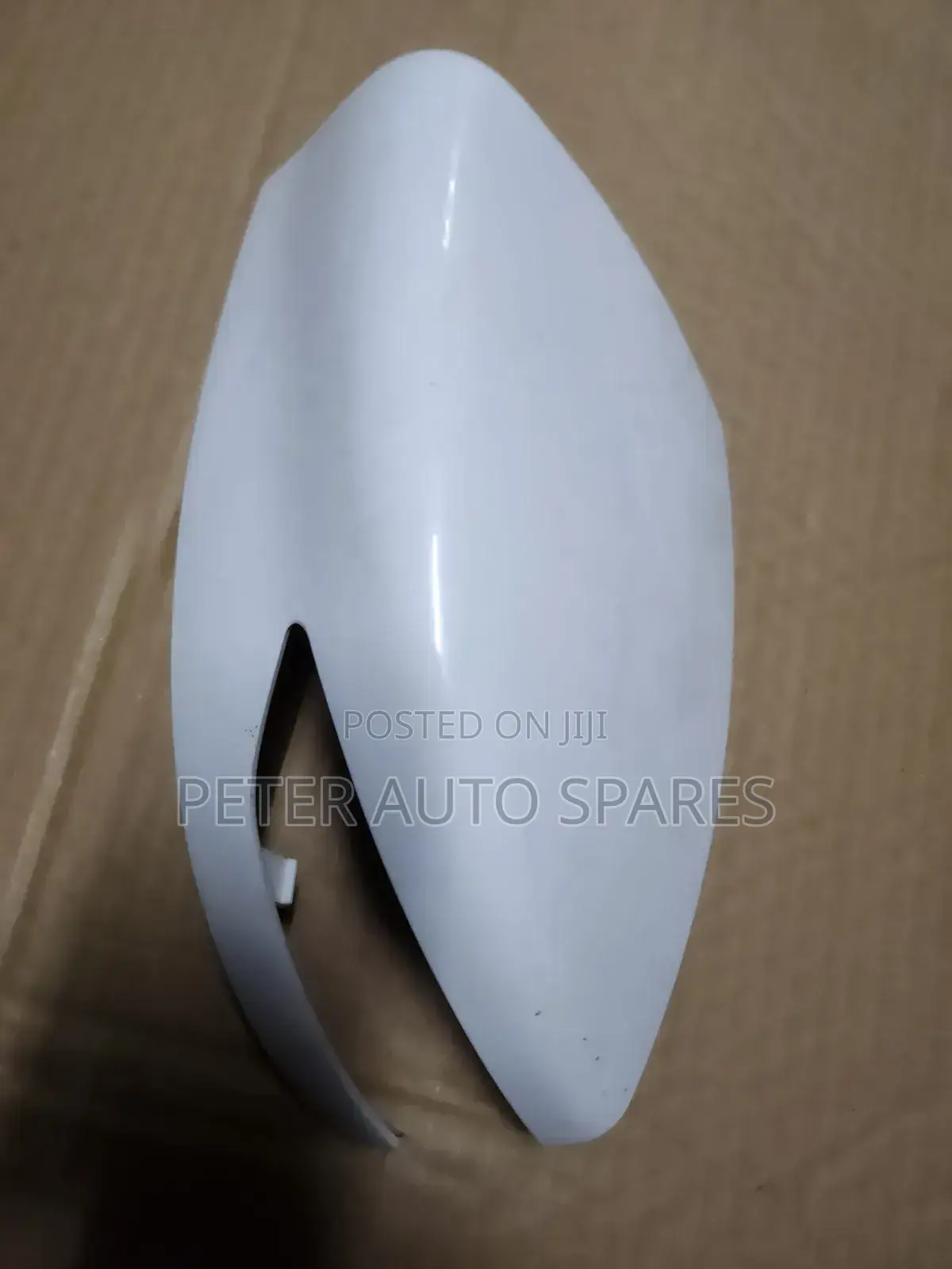 Nissan Sylphy Sidemirror Cover