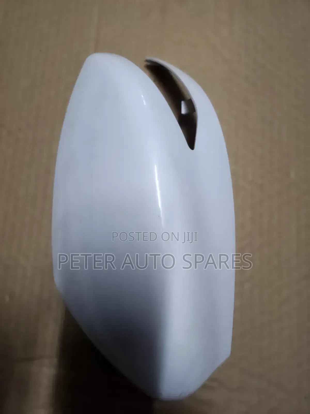 Nissan Sylphy Sidemirror Cover