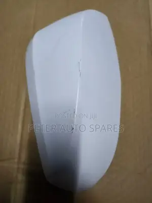 Vellfire/Esquire/Rav 4 2019 Sidemirror Cover