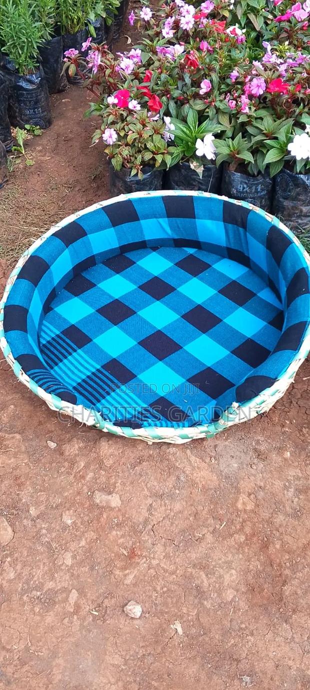 Large Pet Beds - thumbnail 2
