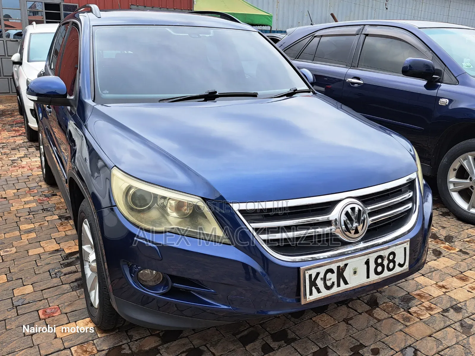 Volkswagen Tiguan 2009 Blue