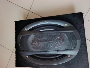 Pioneer Speakers