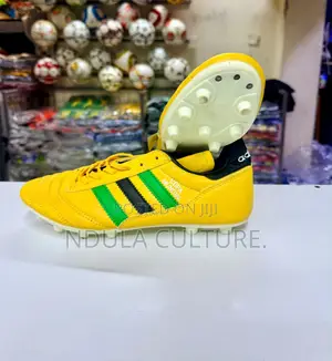 Copa Mundial Football Boots