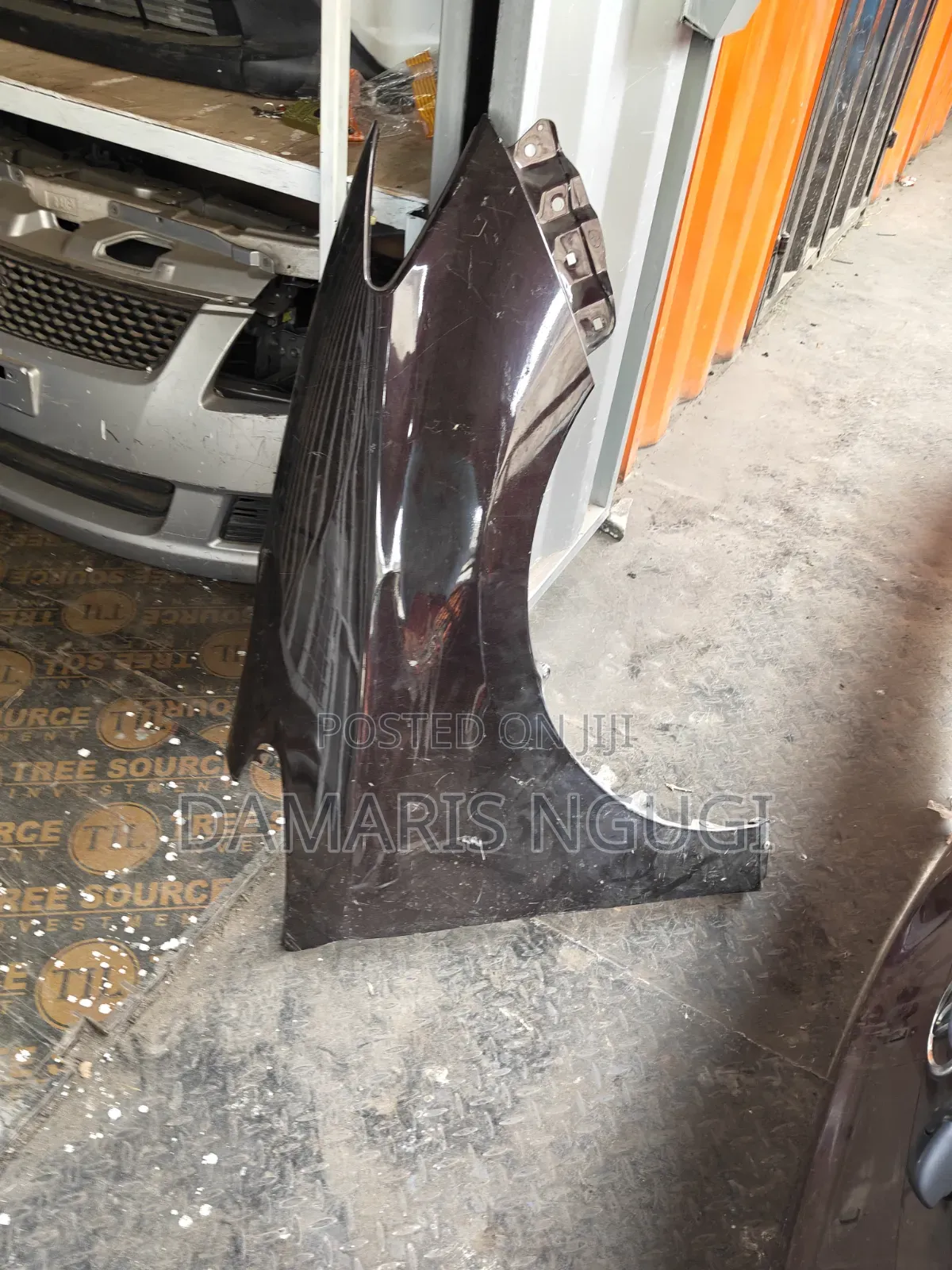 Wish Fenders 2012/2013 Fenders