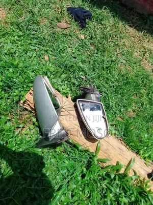 Electric Side Mirror