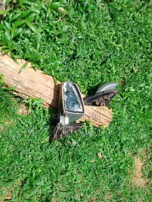 Electric Side Mirror